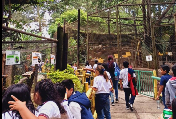 Evento escolar 3